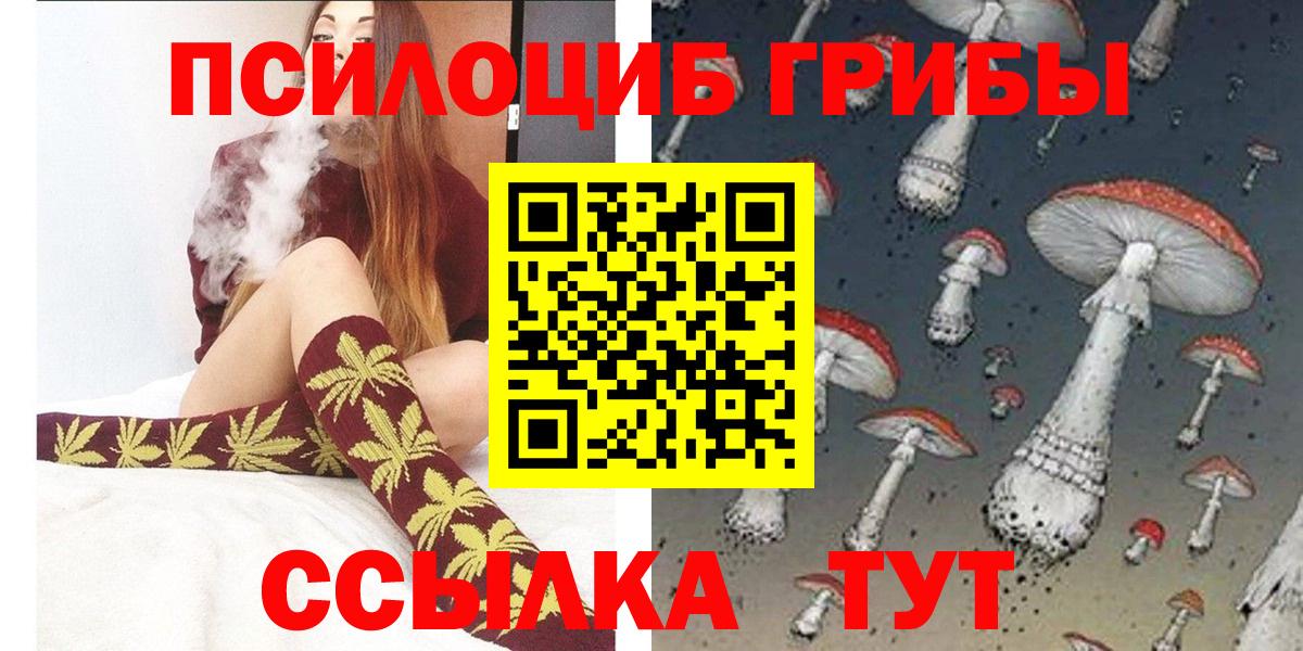 Галлюциногенные грибы Psilocybine cubensis  Галлюциногенные грибы Cubensis  Калуга  Вход с VPN 