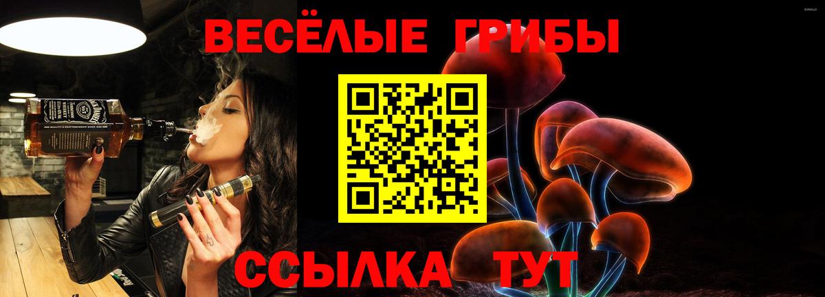 Псилоцибиновые грибы мицелий Калуга